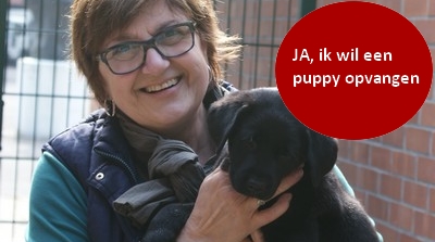 Ja, ik wil een puppy opvangen.