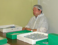 Aangepast Werk Aangepast Werk